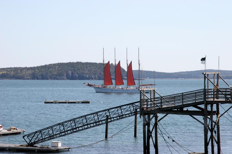The Margaret Todd sailing in from the morning harbor tour