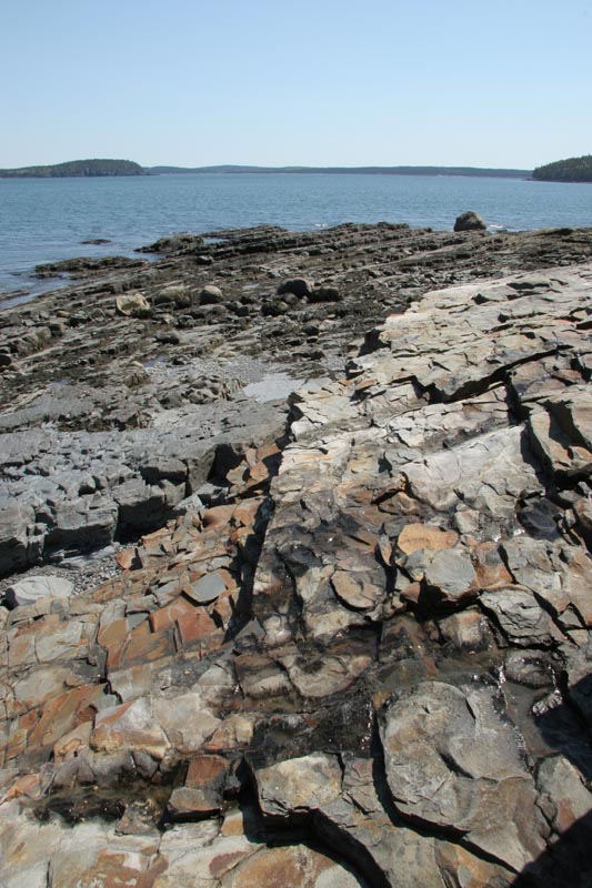 Vierw to the Atlantic from the South Shore trail