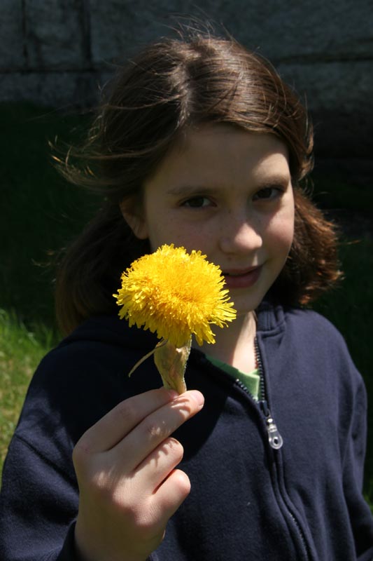 The biggest dandelion we'd ever seen!
