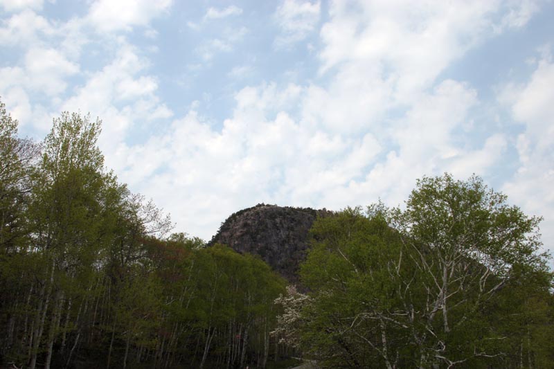 One of the mountains in Acadia National Park