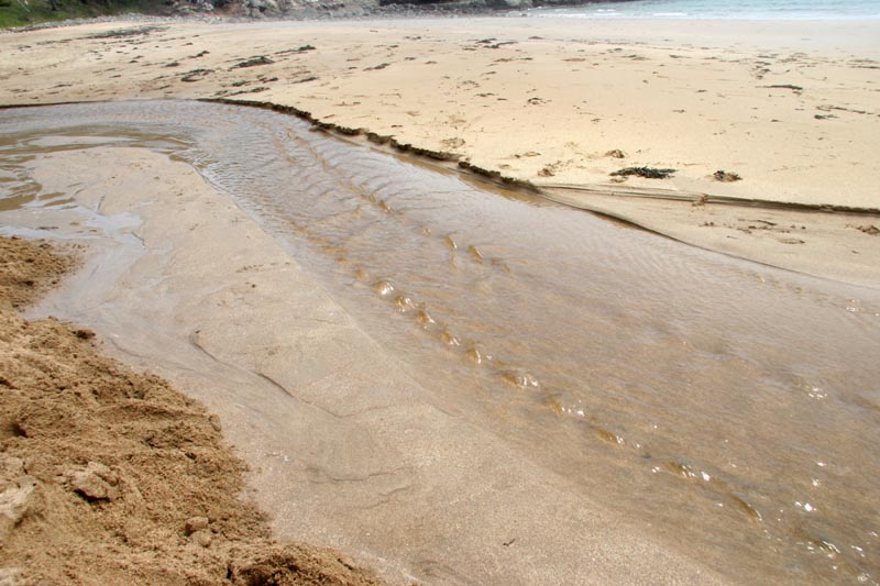 Neat little rippling stream, running out of the mountains across the beach to the ocean