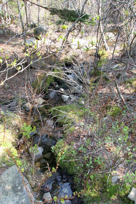  A little stream working it's way to the ocean