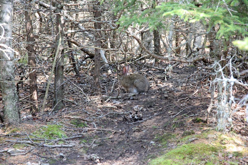 Say hello to your fans!