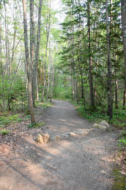 Trail to Casco Bay