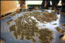 Map of Mt. Desert Island at the Acadia Natioanl Park Visitor's Center