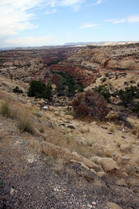R08_6525.jpg - Another canyon view along the road