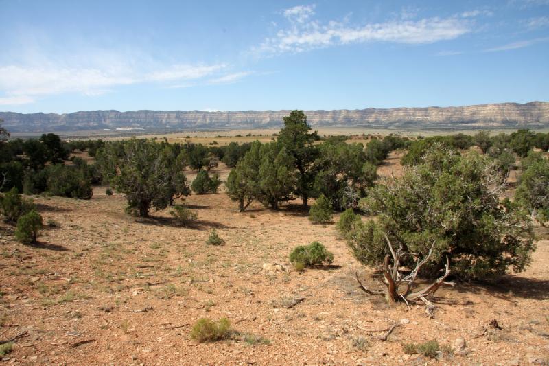 R08_6538.jpg - View near Grand Staircase