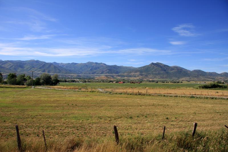 R08_6678.jpg