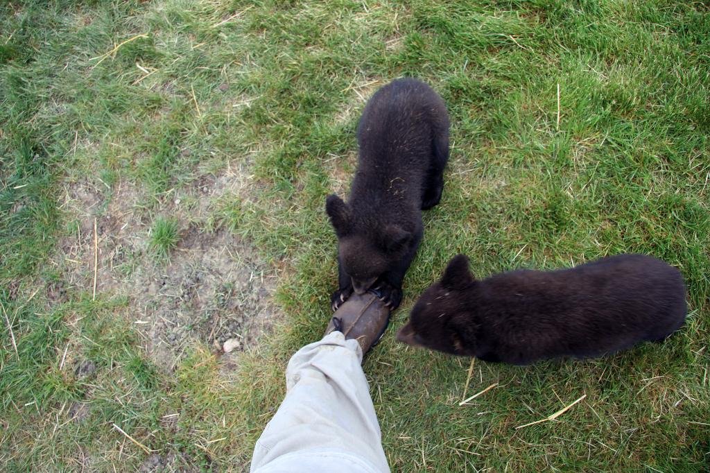 RAP_9404.jpg - They really liked my shoe