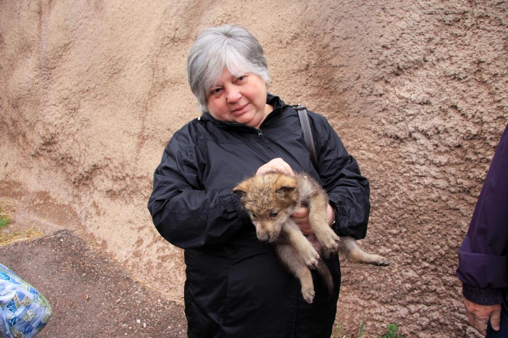 RAP_9440.jpg - Gilda with a Timber Wolf