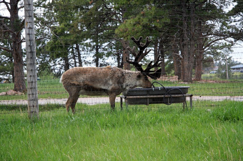 RAP_9291.jpg - Nice Rack!
