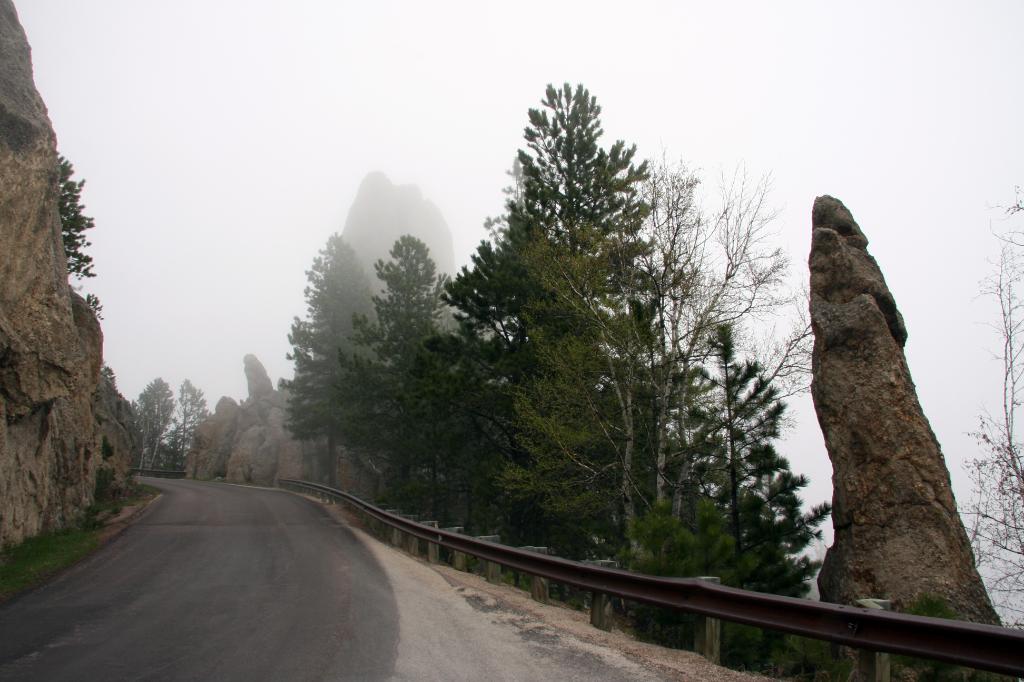RAP_9492.jpg - Going through The Needles