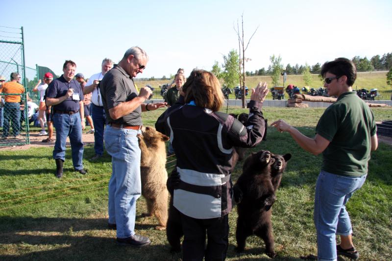 C09_5930.jpg - Our first raffle winners to get in with the bear cubs. I was able to go in with all of them and shoot pictures and video.