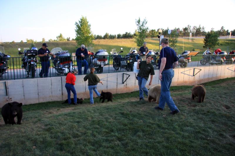 C09_6315.jpg - More folks donating to the cause to be mauled by bears