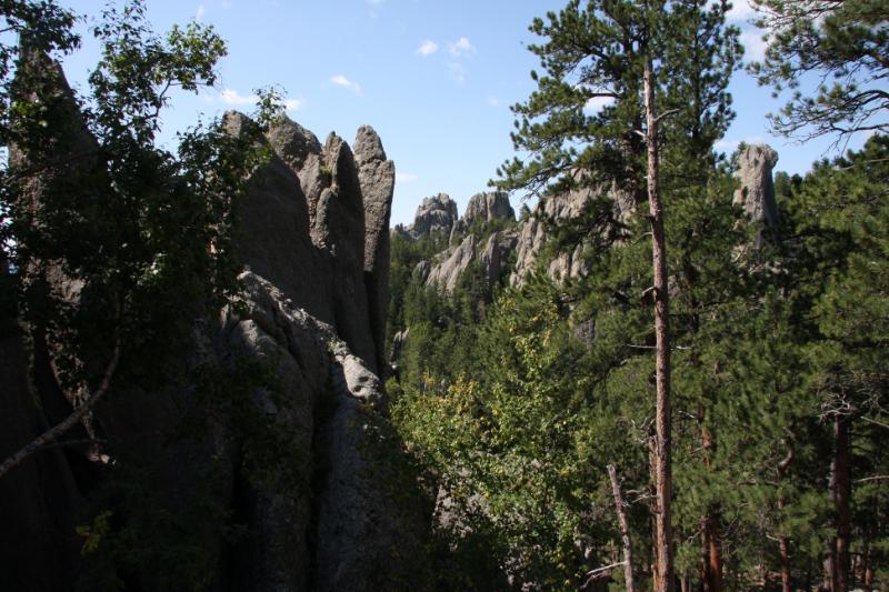 C09_5813.jpg - Top of the Needles Highway