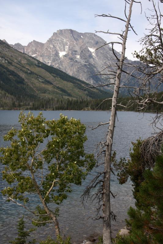 C09_5654.jpg - Mount Moran behind Jenny Lake. That black vein near the top is volcanic rock pushed up into that seam millions of years ago from an eruption in the area