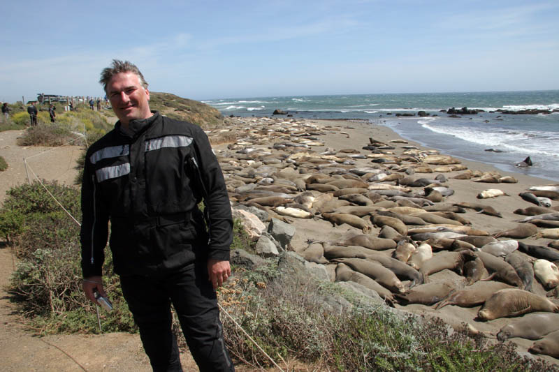 Hmm, those look just about eatin' size!