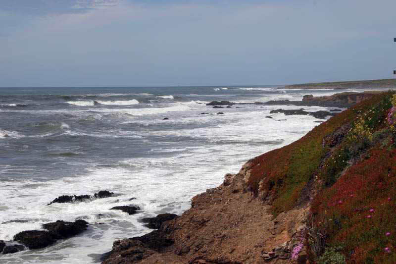 Coastal view north from Pigeon Point