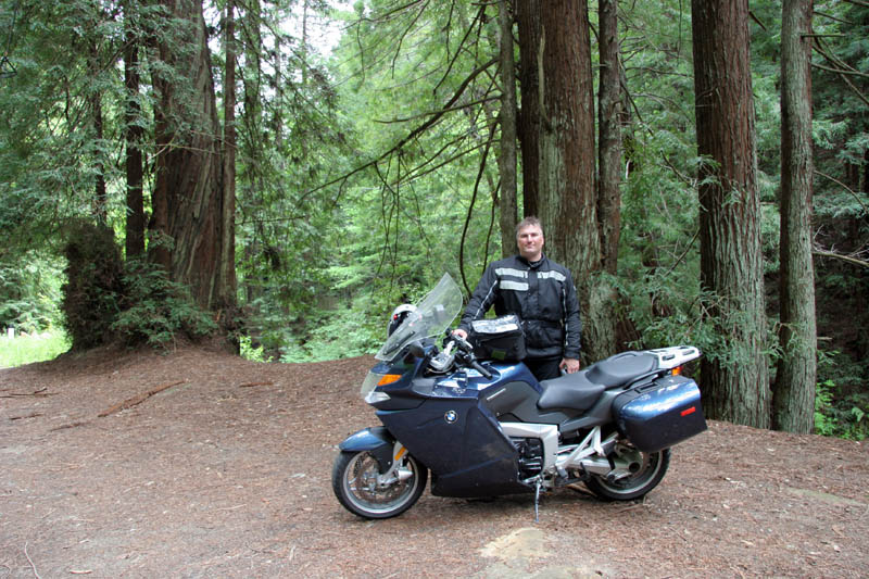 Joe being one with the redwoods, inland from Pescadero
