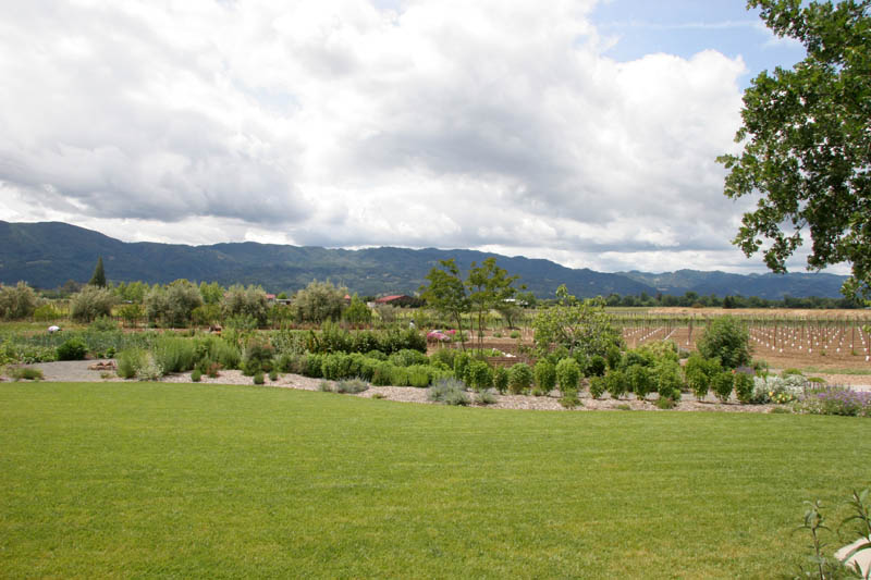 Garden at Frog's Leap Winery