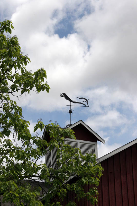 Their trademark weather vane