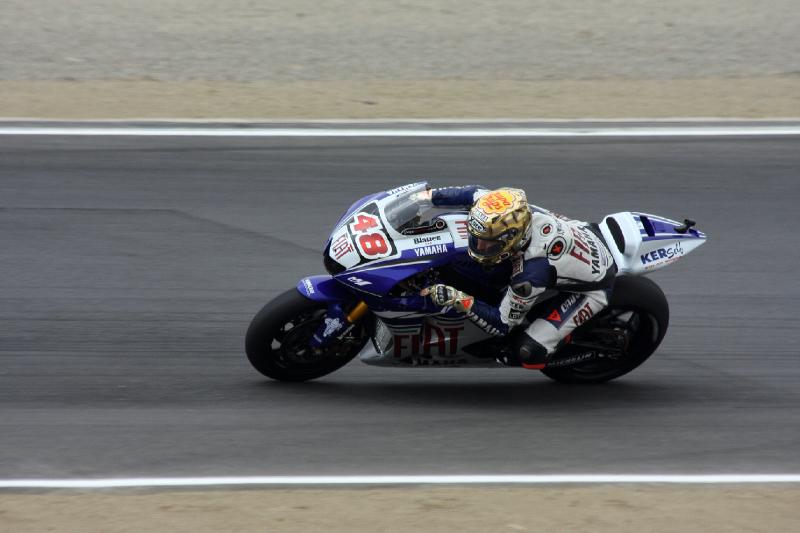 MG8_1248.jpg - Lorenzo