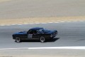 IMG_0441
